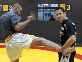 Techniques de pieds poings pour MMA (en français)