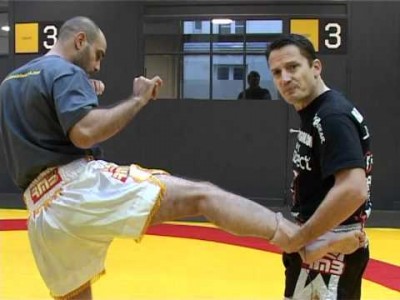 Techniques de pieds poings pour MMA (en français)